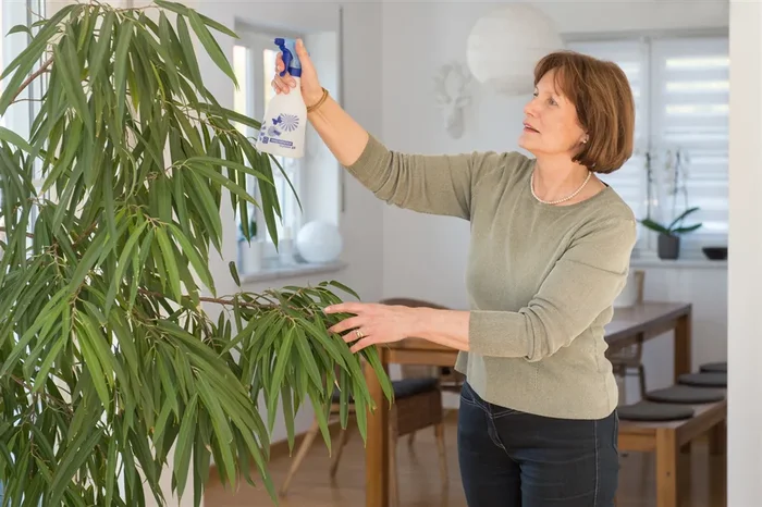 Birchmeier Handsprühgerät ‚Skylution 360°‘ 0,5 l