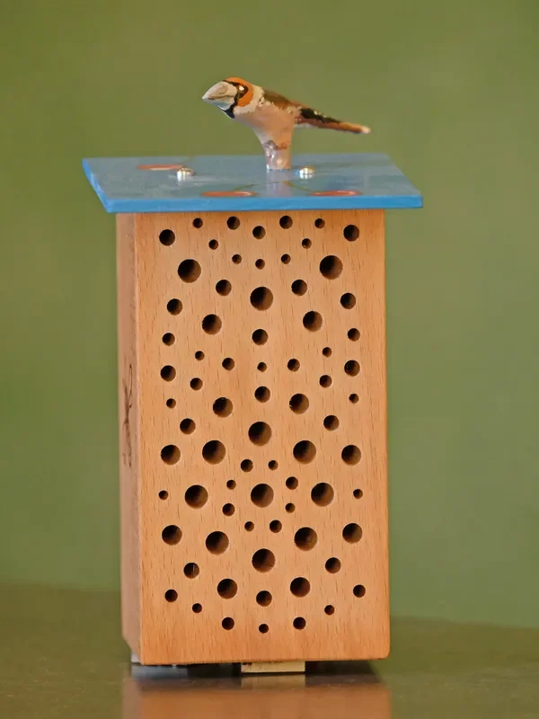 Birdie-bee Kernbeißer