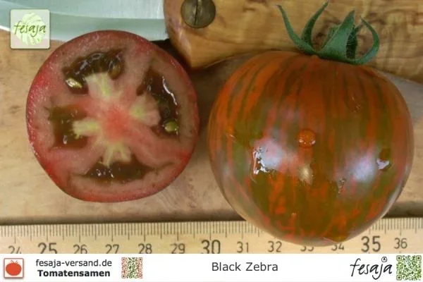 Black Zebra · Tomaten · Samen