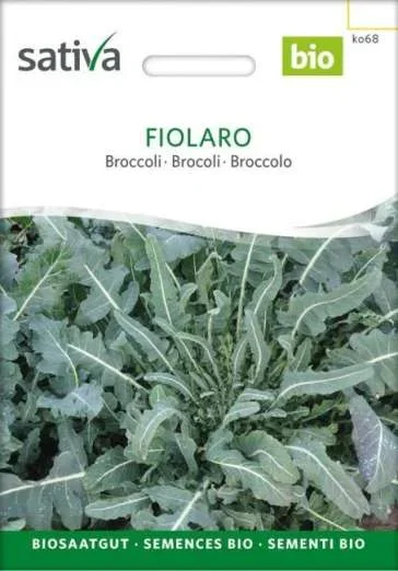 BlattkohlFiolaro