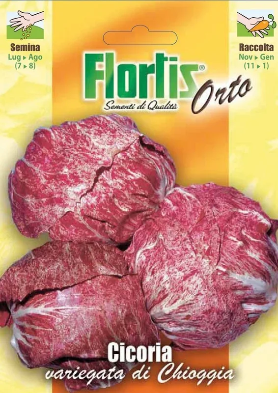 Blattzichorie Variegata Di Chioggia [MHD 12/2025]