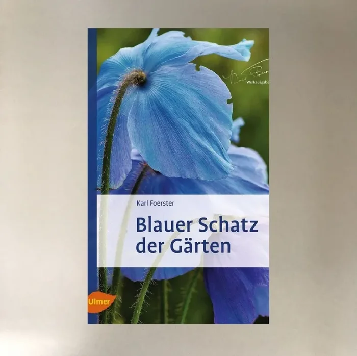 Blauer Schatz der Gärten (Foerster, Karl)