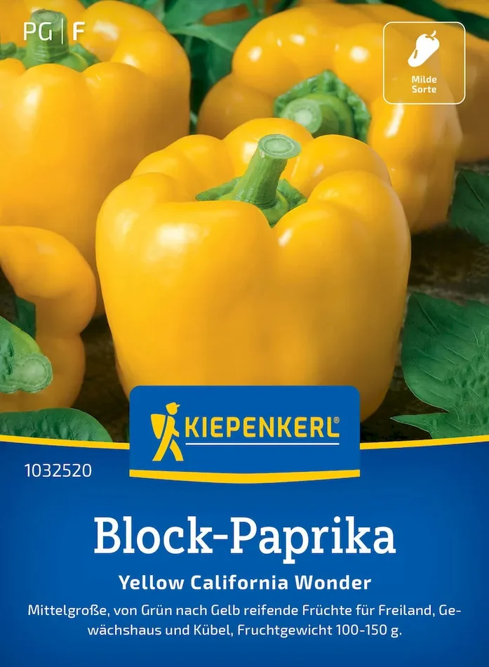 Block-Paprikasamen Yellow California Wonder