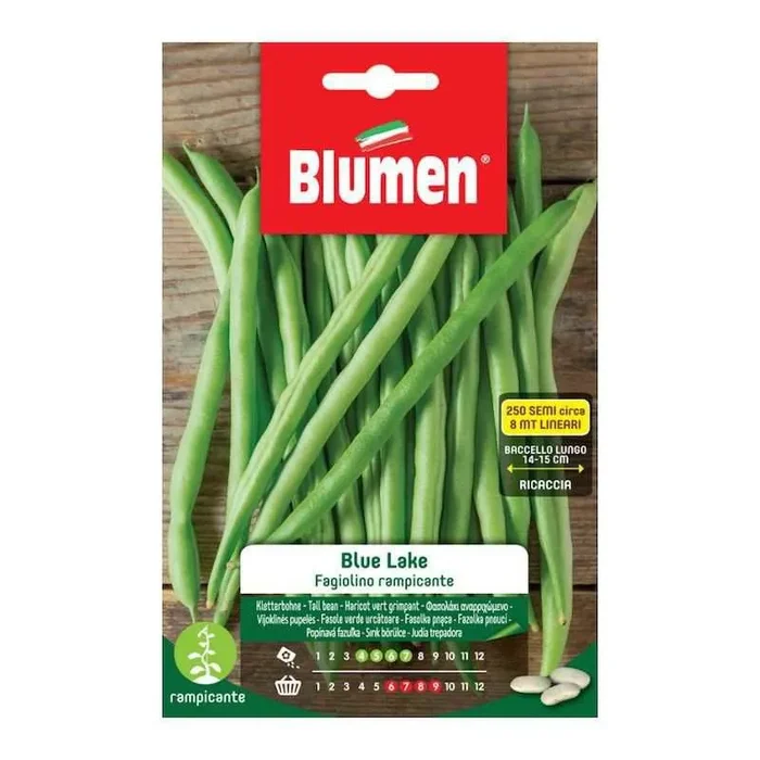 Blue Lake Climbing Ioli Bean Seeds in Bag