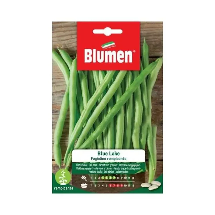 Blue Lake Klettergrüne Bohnen Samen 250 gr
