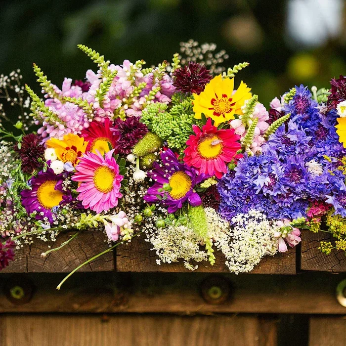 Blumen Saatmatte für Blumenkästen