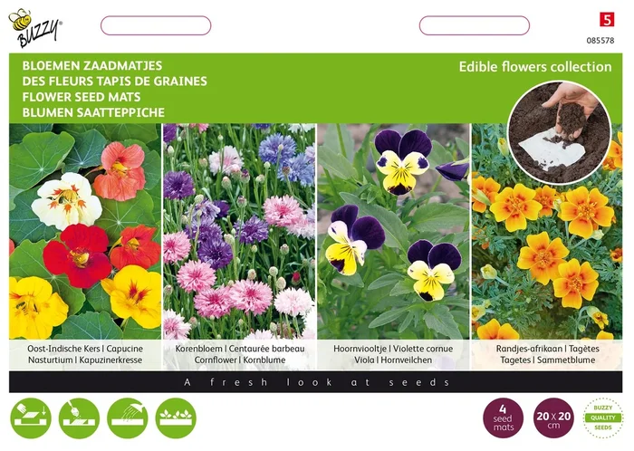 Blumen (Saatteppich)