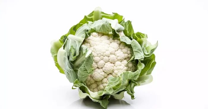 Blumenkohl Snowball X