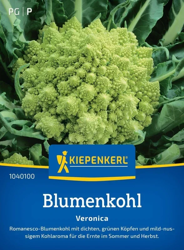 Blumenkohl Veronica, F1, Romanesco-Blumenkohl – für die Ernte im Sommer und Herbst