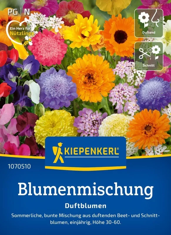 Blumenmischung Duftblumen, Sommerliche bunte Mischung – duftende Beet- u Schnittblumen Höhe 30-60 cm