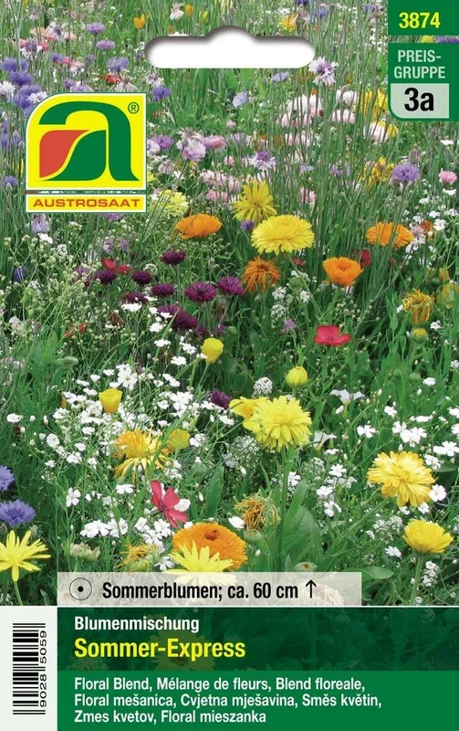 Blumenmischung Sommer Express [MHD 12/2024]