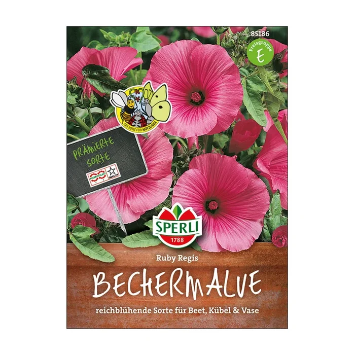 Blumensamen, ‚Bechermalve Ruby Regis‘, dunkelrosa