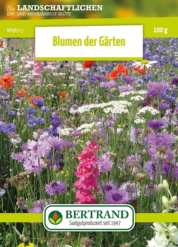 Blumenwiese Frühlingswiese (100 g)