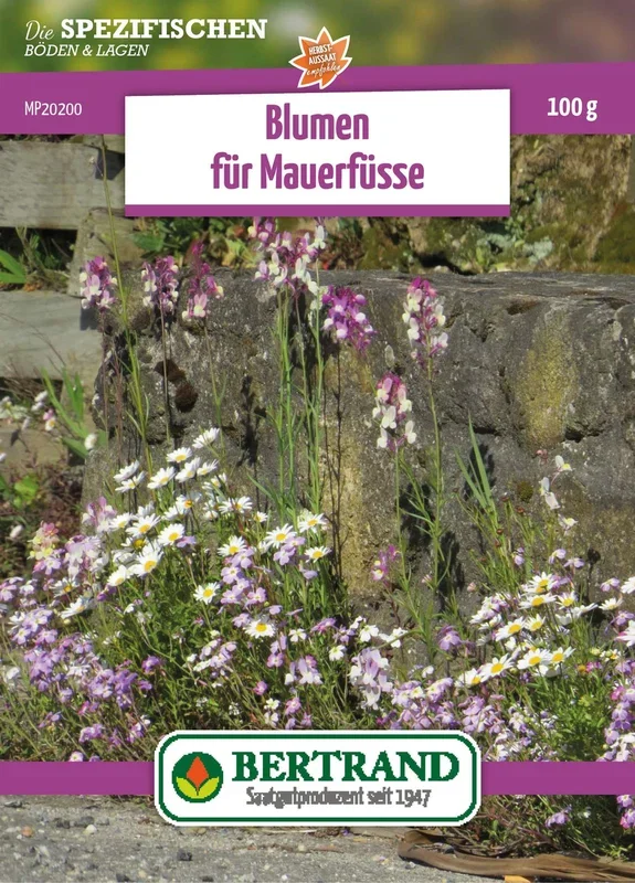 Blumenwiese Mauerfuß (100 g)
