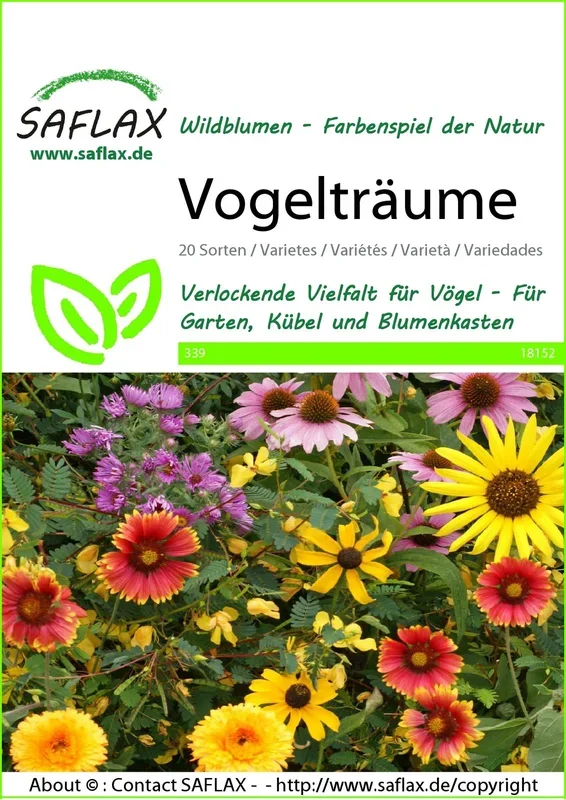 Blumenwiese Vogelträume