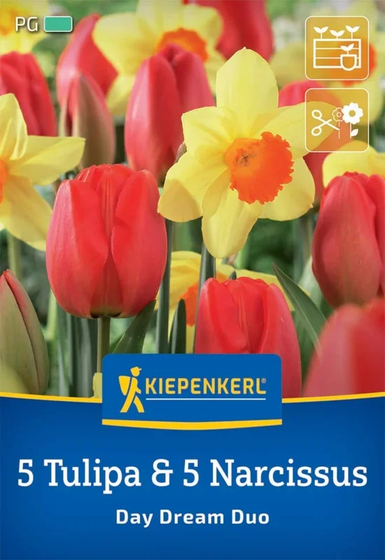 Blumenzwiebelmischung Day Dream Duo (10 Stück)