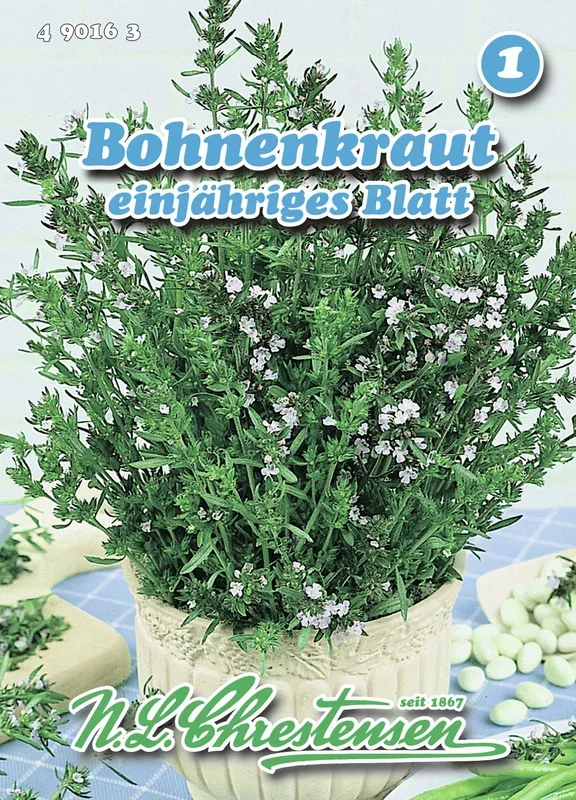 Bohnenkraut einjähriges Blatt [MHD 01/2026]