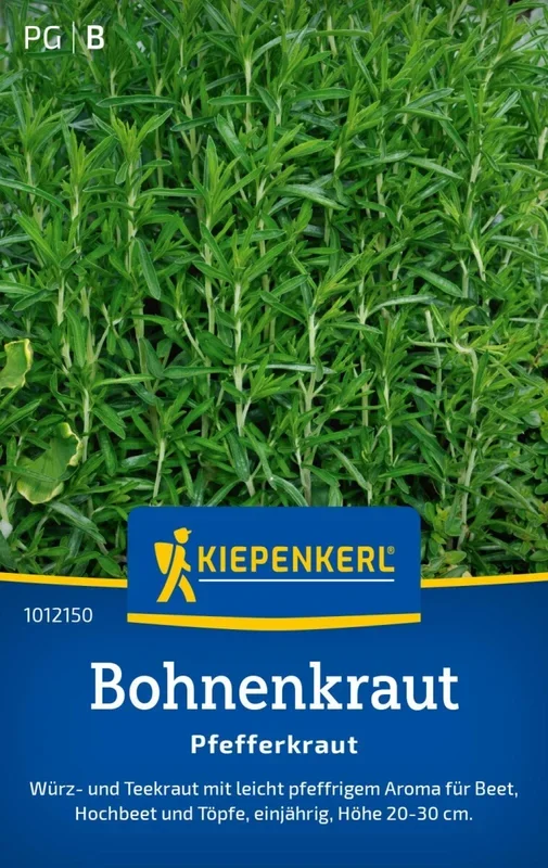 Bohnenkraut Pfefferkraut, Würz- u. Teekraut – Beet, Hochbeet u. Töpfe – Höhe: 20-30 cm