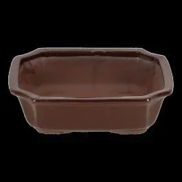 Bonsai Topf rechteckig L
