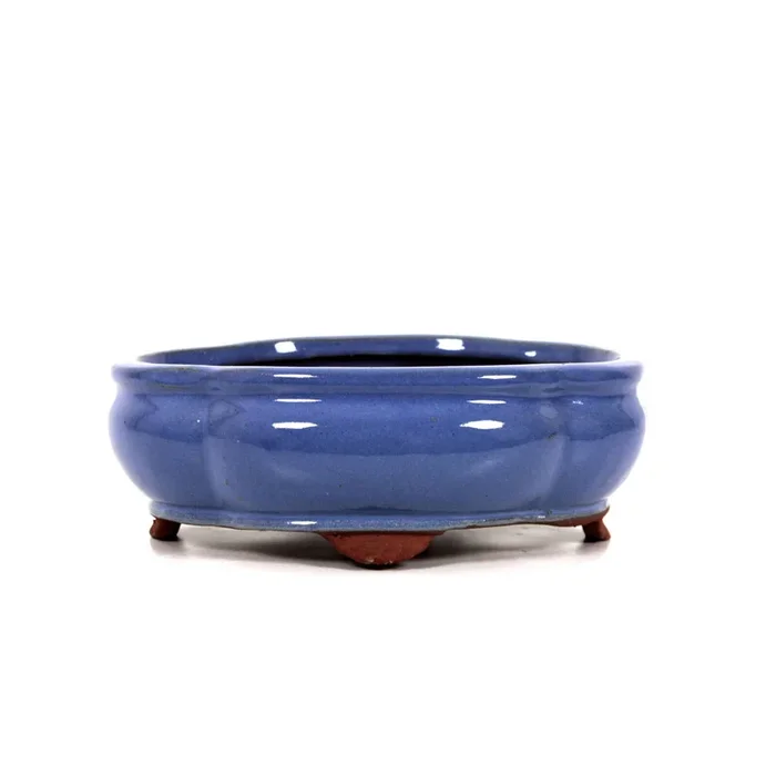 Bonsaischale 20.5×15.5×7.5 cm glasiert oval Farbe: hellblau