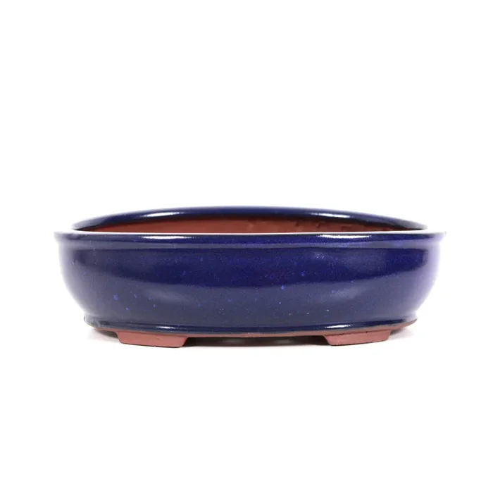 Bonsaischale 26x19x7 cm glasiert oval Farbe: blau