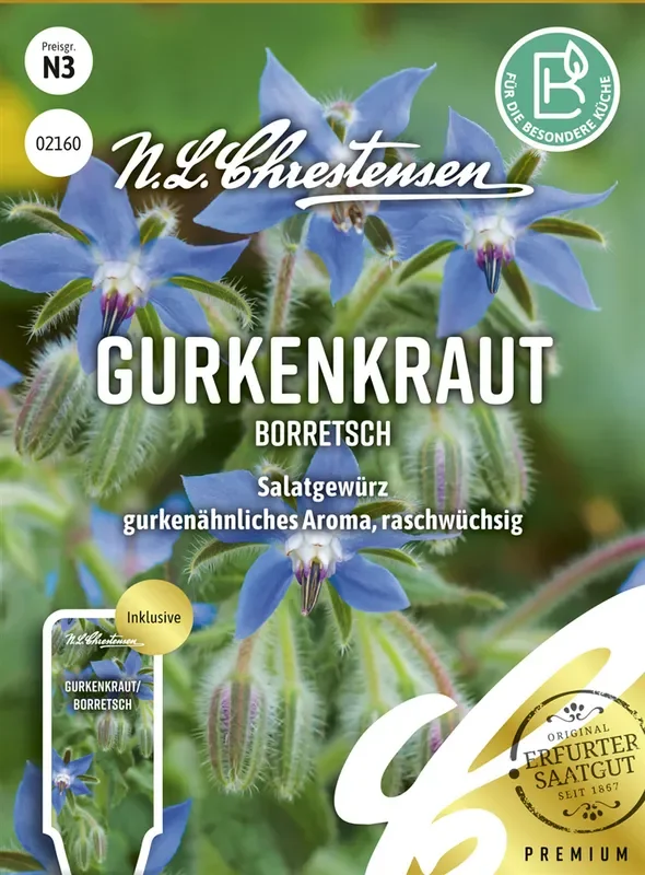 Borretschsamen