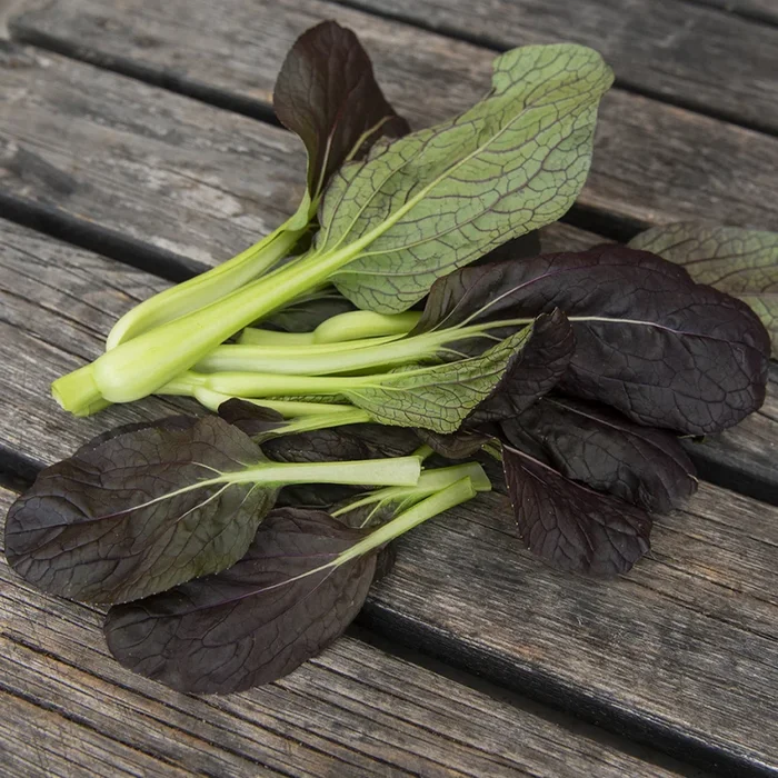 Brassica rapa (Narinosa-gr.)