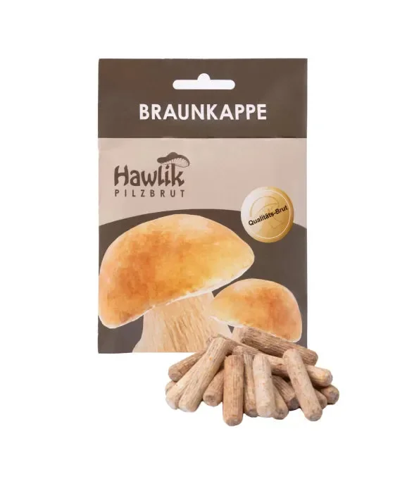 Braunkappen Dübel