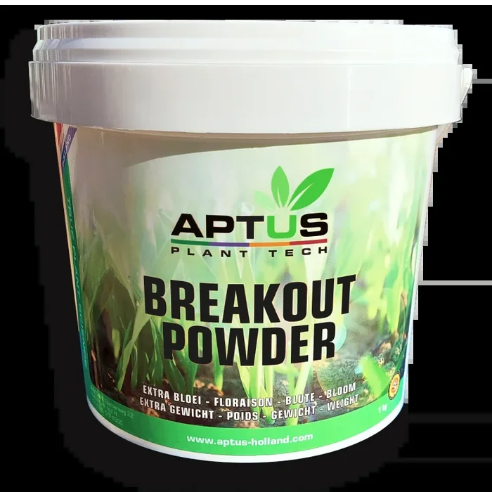 Breakout-Pulver 1 kg – Aptus