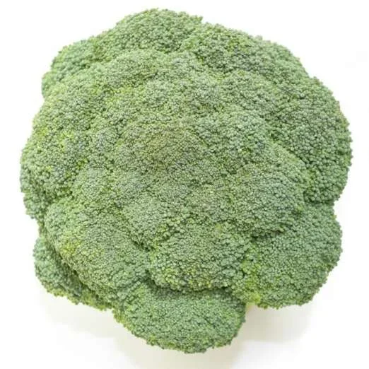 BroccoliLeonora