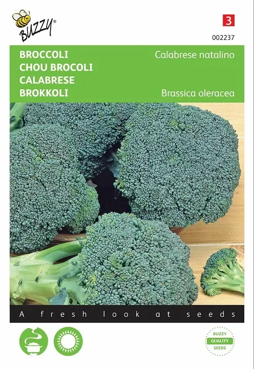 Brokkoli Calabria