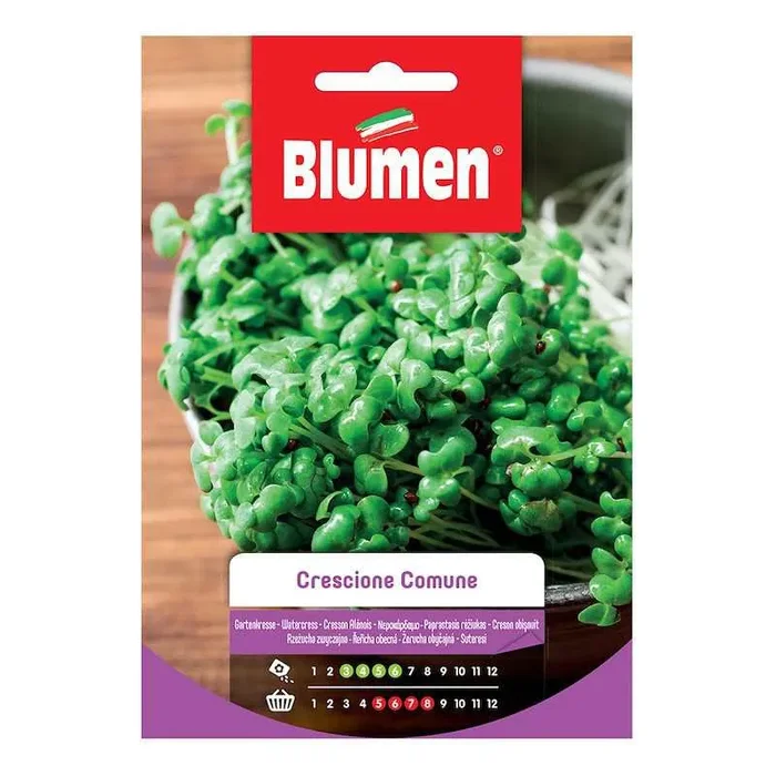 Brunnenkressesamen im Beutel