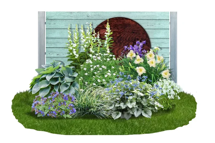 Brunnera-Paket ‚Frosty‘ (Blatt- und Blütenschmuck in kühl-eleganten Tönen)