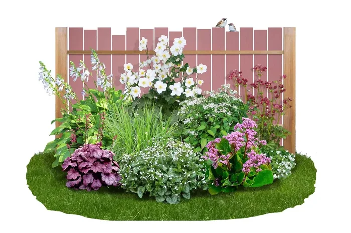 Brunnera-Paket ‚Sweetie‘ (Blatt- und Blütenschmuck in sanften Farben)