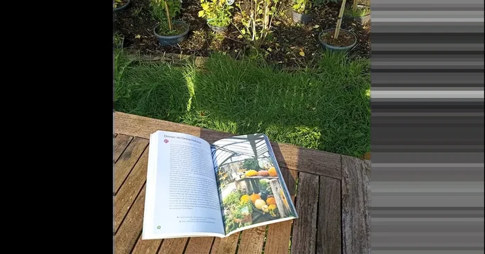 Buch Glücksorte auf Usedom