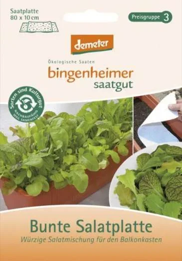 bunte Salatplatte