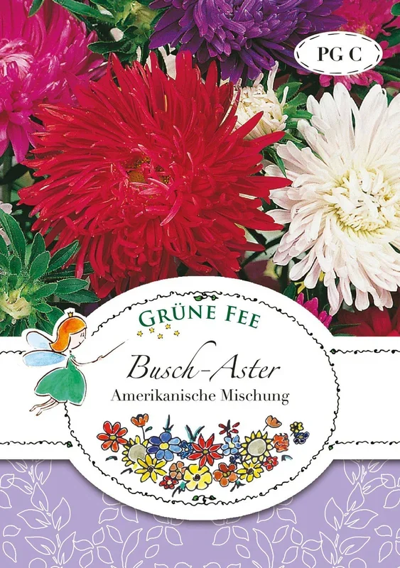Busch-Aster Amerikanische Mischung [MHD 01/2024]