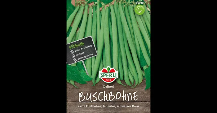 Busch-Bohne ‚Delinel‘