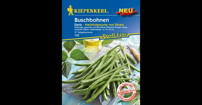 Buschbohne ‚Davis‘