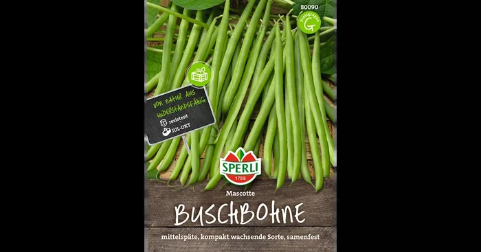 Buschbohne ‚Mascotte‘