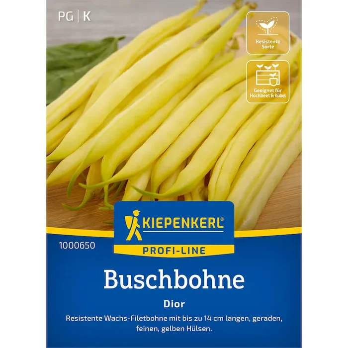 Buschbohne Dior Phaseolus vulgaris – Bestellnummer 9944876