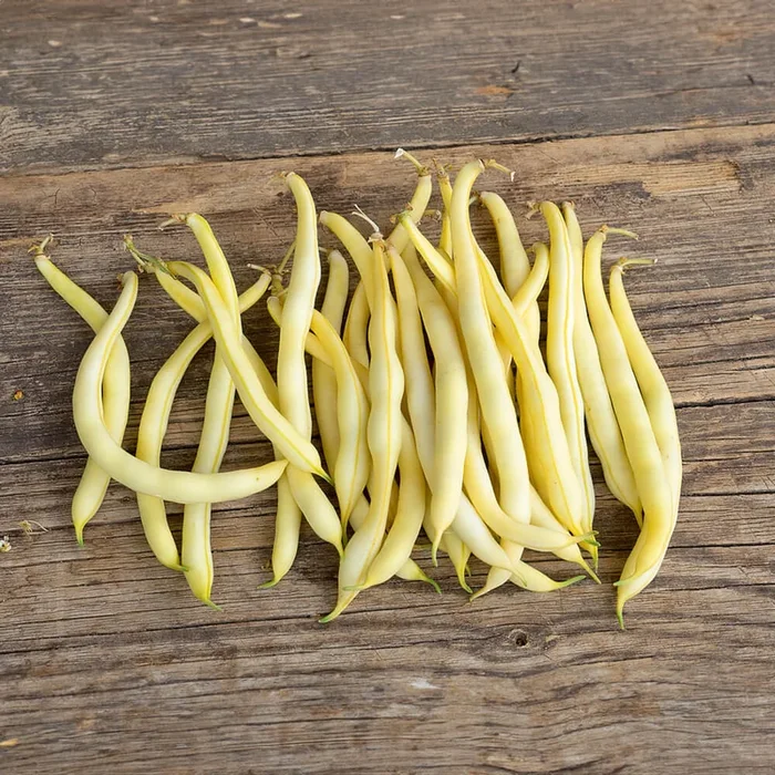 Buschbohne Helios Bio-Gemüse-Samen