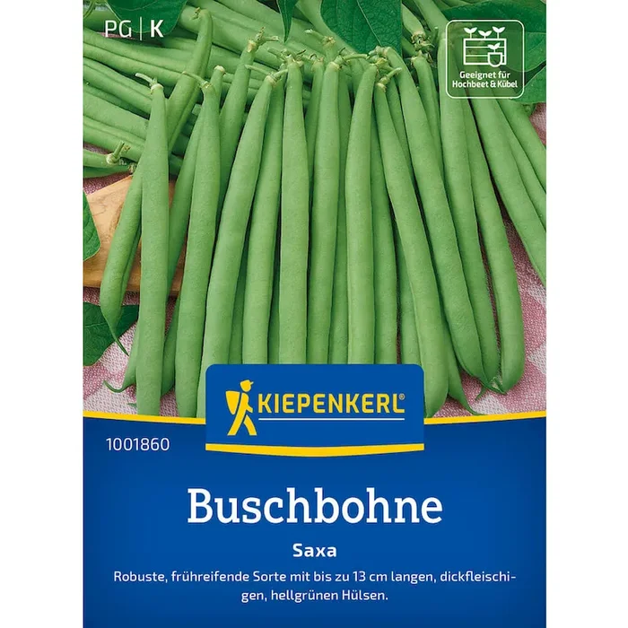 Buschbohnen ‚Saxa‘ Phaseolus vulgaris var. nanus – Bestellnummer 9942921