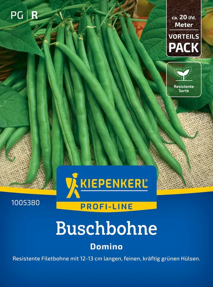 Buschbohnensamen Domino, Vorteilspackung