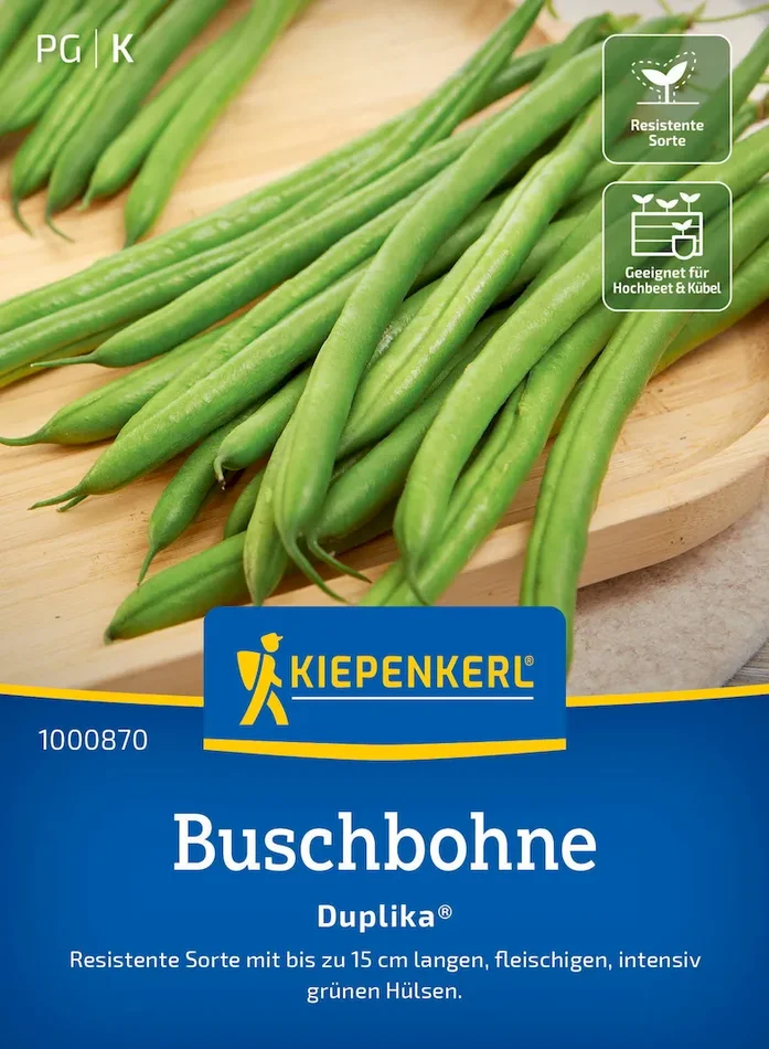 Buschbohnensamen Duplika®