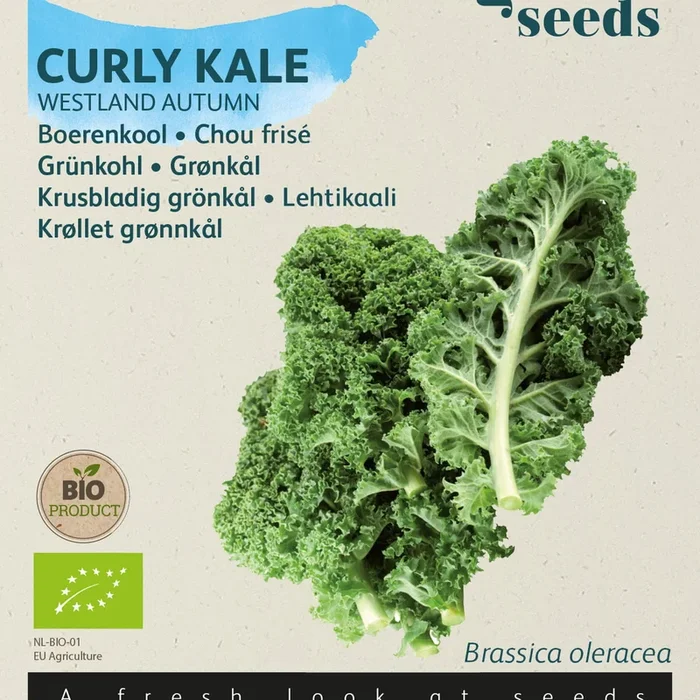 Buzzy Organic Seeds BIO Grünkohl Westländer Herbst