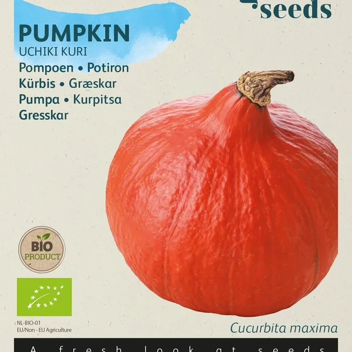 Buzzy Organic Seeds BIO Hokaidokürbis Uchiki Kuri