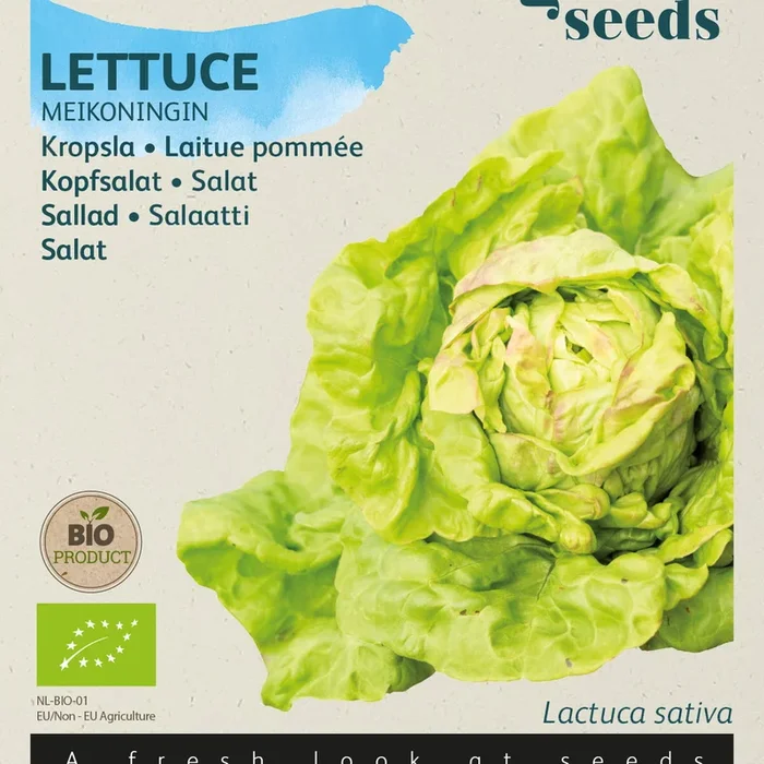 Buzzy Organic Seeds BIO Kopfsalat Maikönig