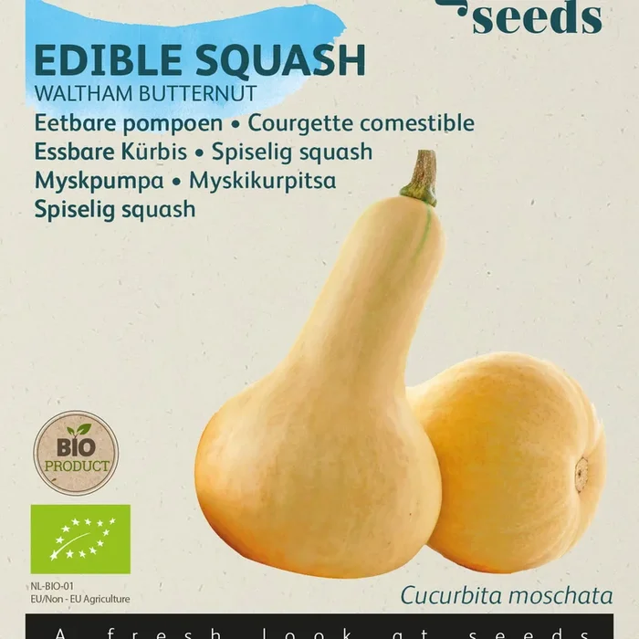 Buzzy Organic Seeds BIO Kürbis Waltham Butternut
