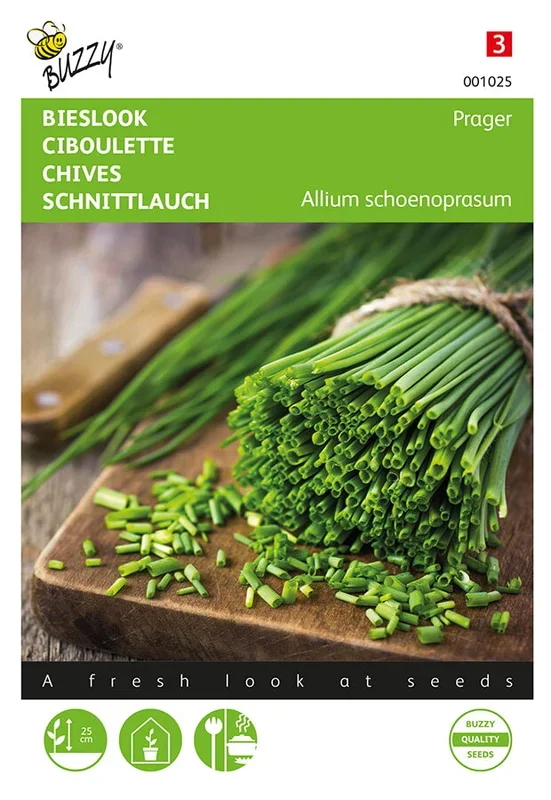Buzzy Seeds Schnittlauch Feinröhrig